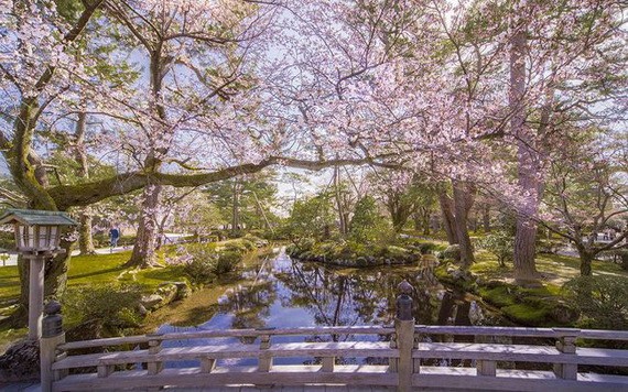 夜燈下的奇幻色彩！日本三大名園——兼六園的秋與冬！