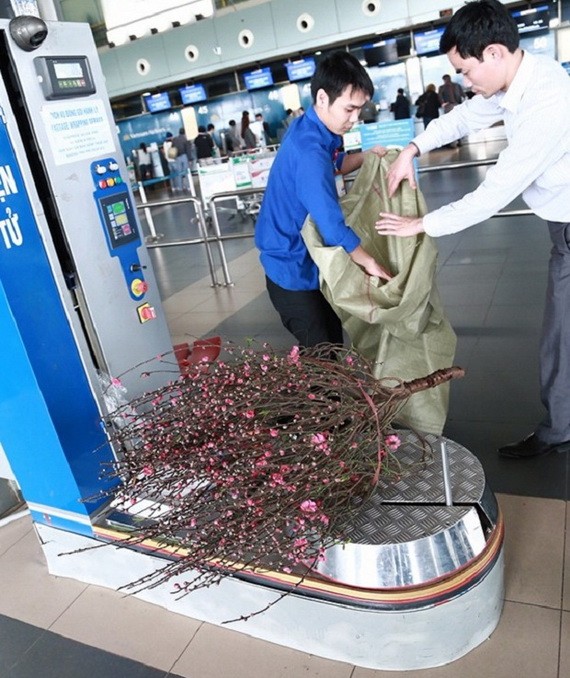 乘客包裝桃花空運。（圖源：互聯網）