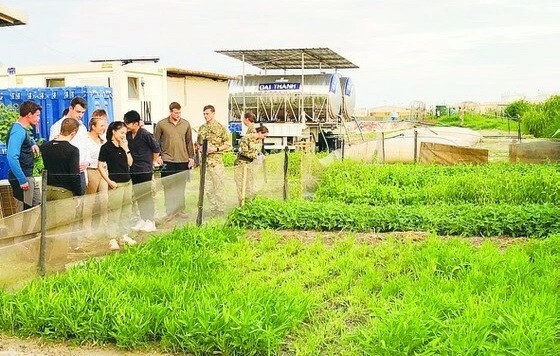 國際友人前來聯合國駐南蘇丹特派團的越南野戰醫院參觀時都很讚歎一片片綠油油的菜園並向越南維和部隊學習無公害蔬菜栽培的技術和經驗。（圖源：成南）