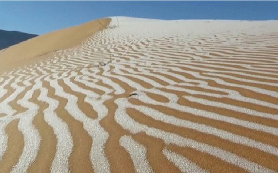 撒哈拉沙漠出現被白雪覆蓋的罕見美景。（圖源：互聯網）