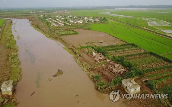 據朝鮮中央電視台2020年8月7日報道，黃海北道一帶的農田遭受水災侵襲。（圖源：韓聯社）