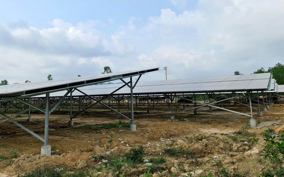 多個農場架設屋頂太陽能並投入營運，但開發商尚未展開農業生產活動。（圖源：TTO）