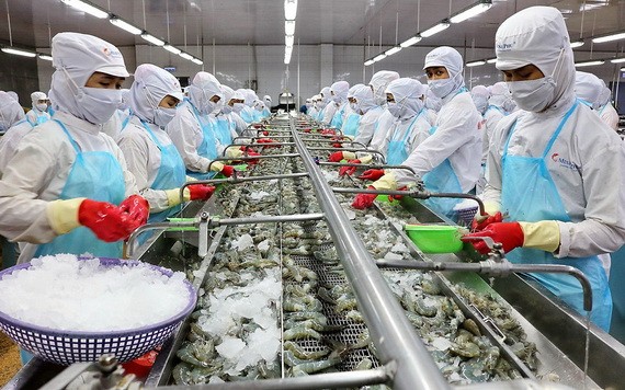 圖為蝦類加工工段。（圖源：耀基）