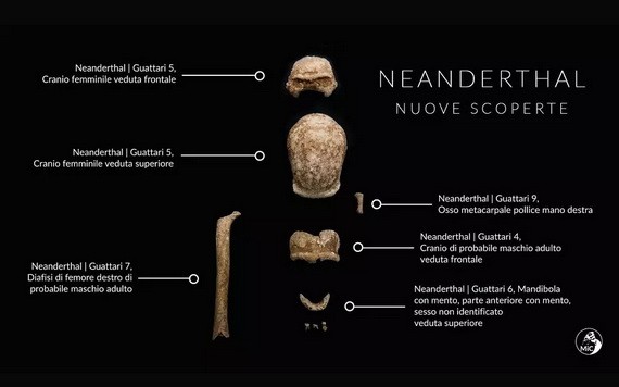 意大利羅馬南部的瓜塔里洞穴中出土9個尼安德特人的遺骸化石。（圖源：MIC）