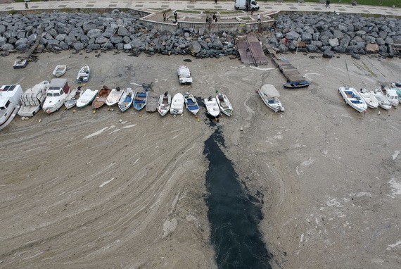 受環境污染影響“海鼻涕”覆蓋土耳其海岸