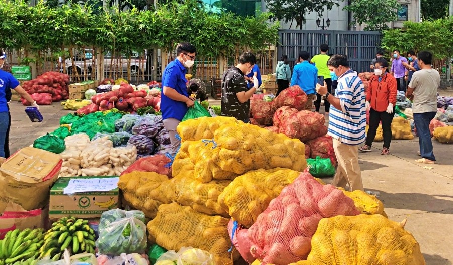 林同省同胞為本市“接濟”逾200公噸各類新鮮果蔬。