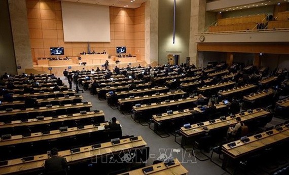 聯合國人權理事會第47次會議現場一景。（圖源：越通社）