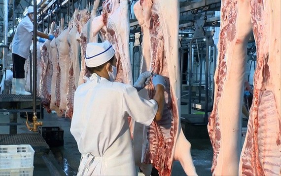 本市保障豬肉產品供應