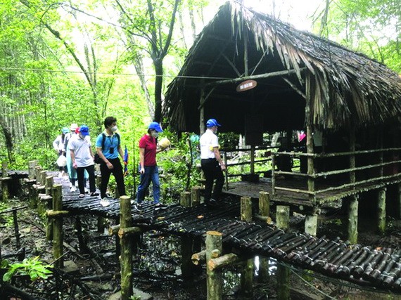 遊客參觀芹耶紅樹林。