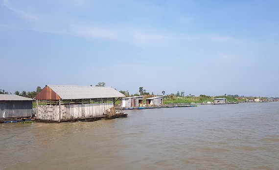安江省搬遷後江上的 73 座浮動網箱養魚屋，以防疫情蔓延。（圖源：安江報）