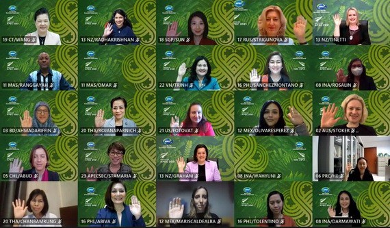 APEC婦女與經濟論壇會議視訊。（圖源：互聯網）
