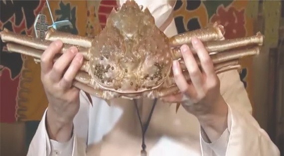 日本一隻松葉蟹拍出 500 萬日元高價