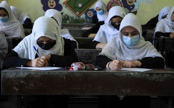 阿富汗女學生坐在校園裡上課。（圖源：互聯網）