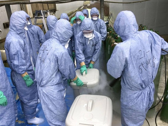 11月10日，秋田縣政府官員在橫手市的一個養雞場中檢測到禽流感。（圖源：共同社）