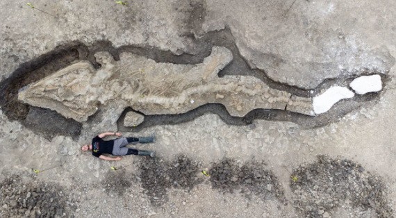 英發現 1.8 億年前魚龍化石
