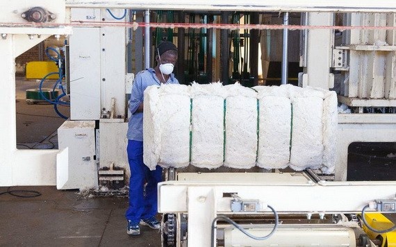 一名男子在南非約翰內斯堡的一家棉花工廠工作。（圖：聯合國）