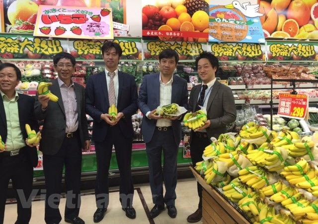 越南香蕉很受日本消費者的歡迎。（圖：越通社）
