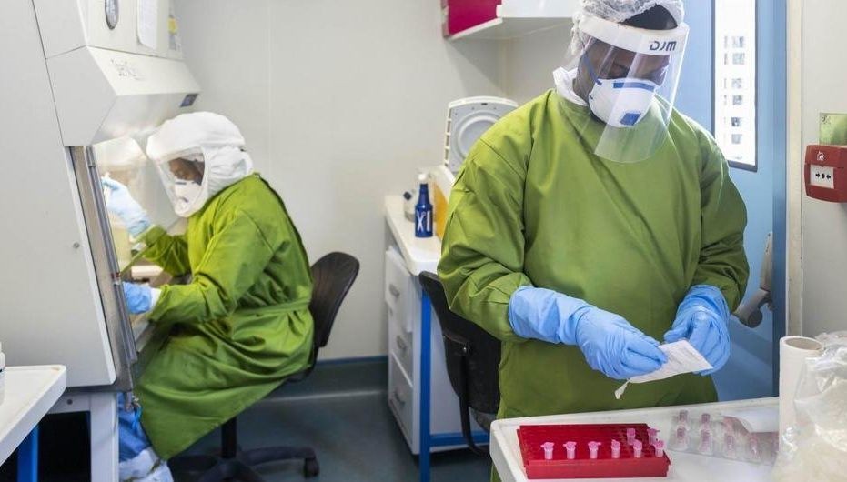 世界衛生組織正在幫助各國提高對新冠病毒的檢測能力。（圖：WHO）