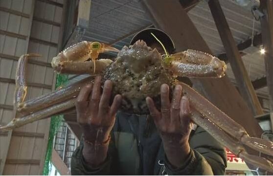 一隻 2.2 公斤螃蟹拍出天價