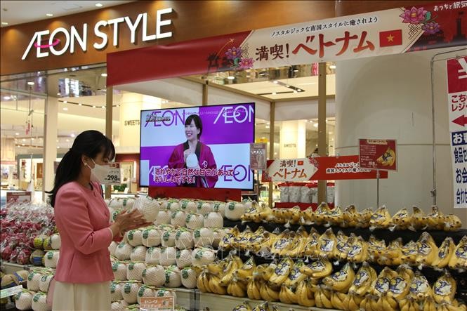 日本消費者在日本各家AEON連鎖超市的越南商品週選購越南椰子。