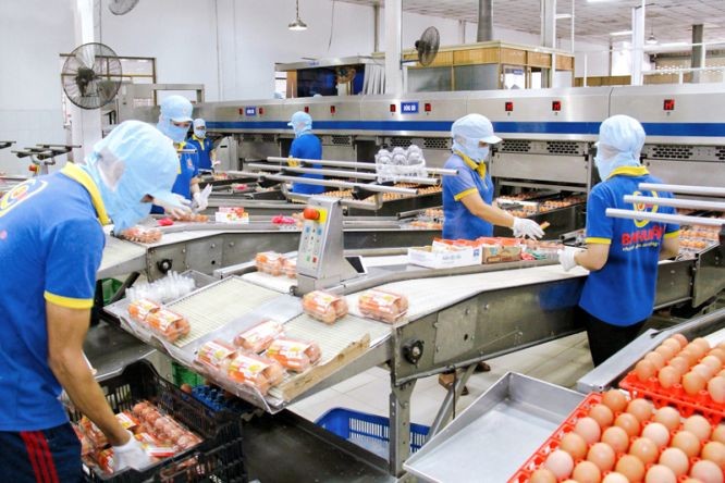 巴勳公司向市場供應平抑物價的蛋類。