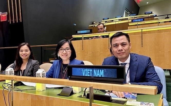 越南常驻联合国代表团团长邓黄江大使一行出席会议。（图：越通社）
