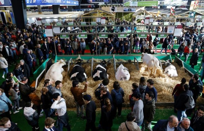 2023年法国国际农业博览会25日在巴黎揭幕。（图：AFP）