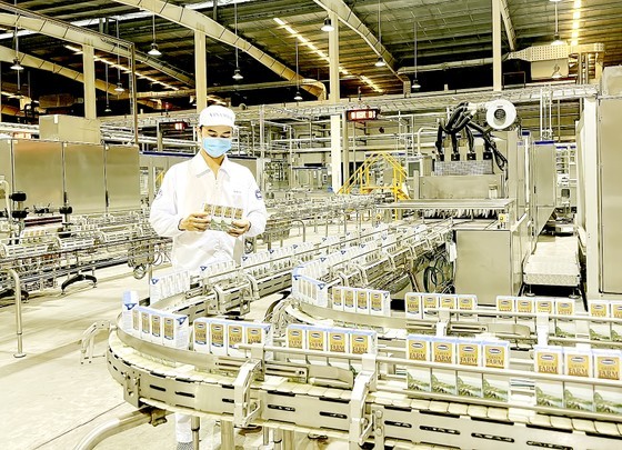 产品质量标准化有助越南奶品股份公司增加出口订单。