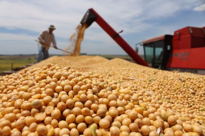 由于阿根廷主要产粮区持续遭遇历史性干旱，大幅下调这个产粮国2022-2023年度大豆和玉米产量预期。（图：互联网）