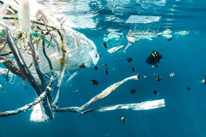 大部分海洋塑料垃圾为渔网和浮漂等渔具。（图：Unsplash）