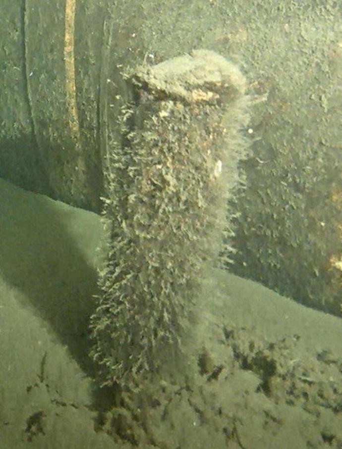 “北溪2号”管道附近海床发现一个管状物。（图：互联网）