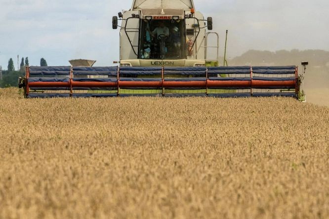 匈牙利和波兰政府宣布禁止从乌克兰进口谷物和其他食品。图为乌克兰首都基辅地区的麦田收割景象。（图：路透社）
