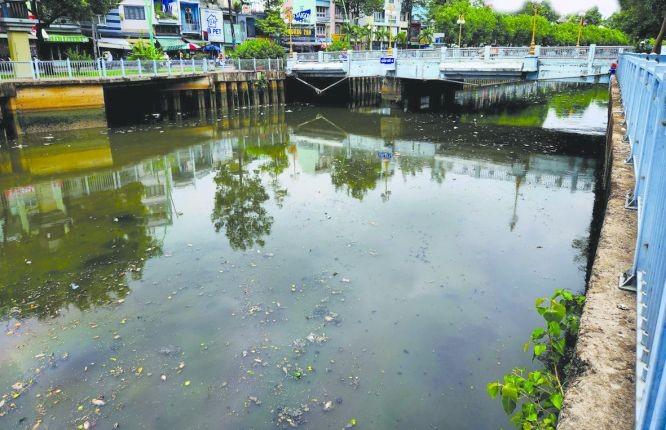 饶禄-氏艺涌浮满死鱼