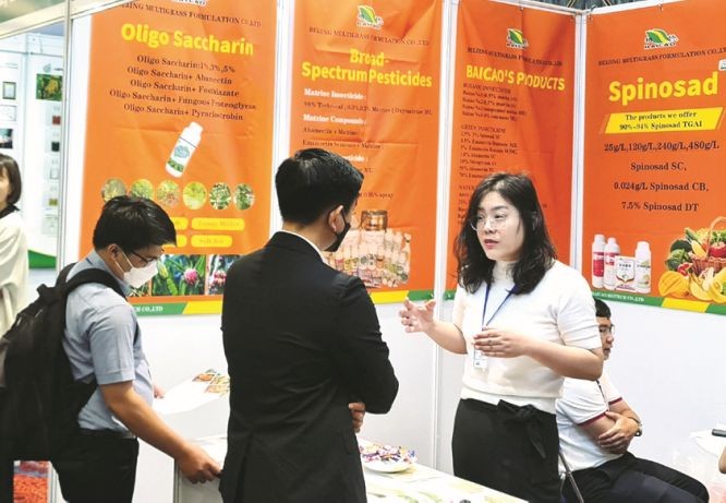越中两国企业家接洽交流。