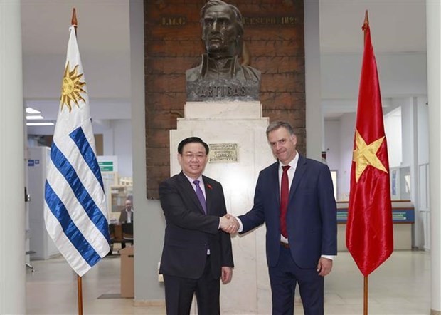 越南国会主席王廷惠会见乌拉圭卡内洛内斯省省长合影。（图：越通社）