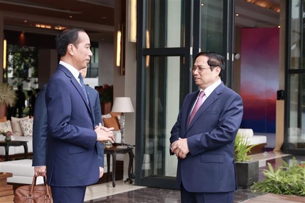 越南政府总理范明政（右）会见印尼总统佐科·维多多。（图：越通社）