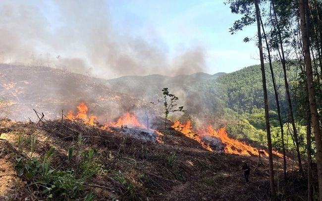 此前发生在广治省的一场森林大火。（示意图：越通社）
