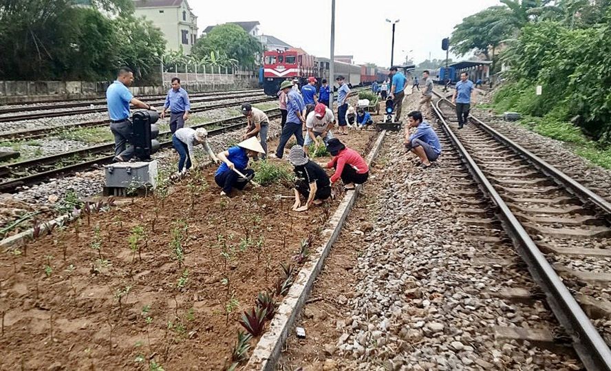铁路部门干部、人员与团员、退伍军人在广平省铁道沿线种花。