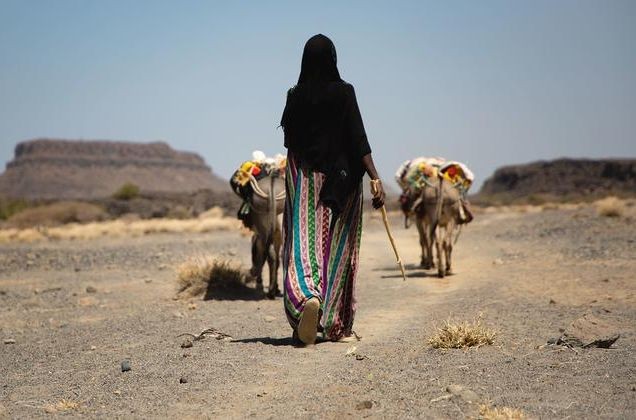 埃塞俄比亚的气候变化正在迫使人们流离失所，并对有限的资源展开竞争。（图：联合国）