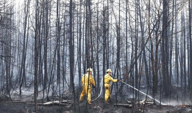 6月3日，消防员在加拿大新斯科舍省谢尔本县的森林灭火。（图：新华社）