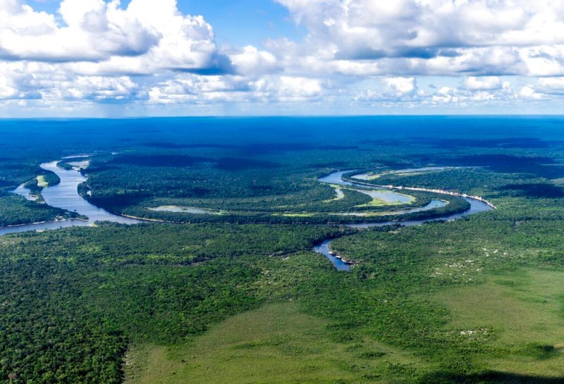 2022年巴西原始森林损失增加15%，在世界上失去最多森林的国家中名列前茅。（图：AP）
