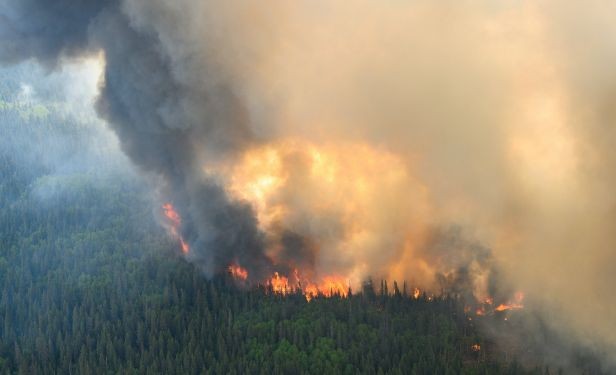 加拿大山火至今已焚毁的面积已超过1950万英亩(约8万平方公里)，打破纪录。（图：互联网）