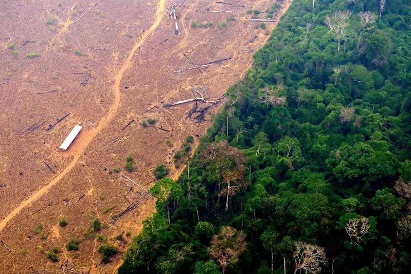 巴西和哥伦比亚承诺合作保护亚马逊雨林。图为巴西北部亚马逊州拉布里亚地区亚马逊雨林2022年9月遭焚烧滥伐情况。(图：Getty Images)