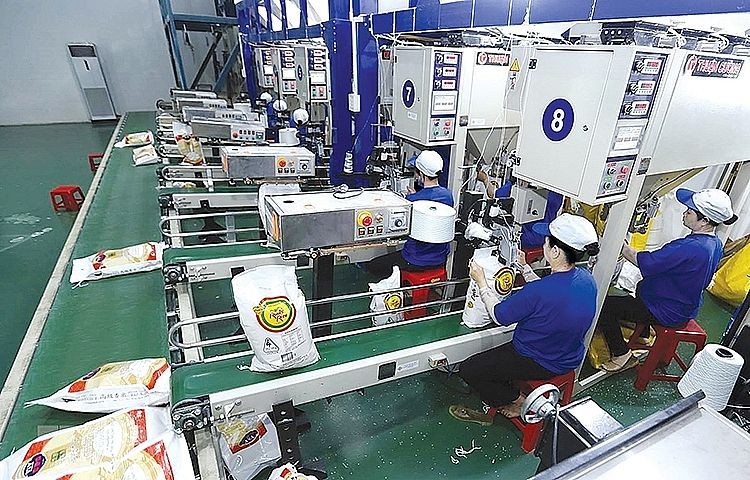 中安公司的大米包装生产线。（图：越通社）