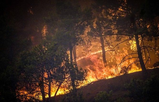 这是7月22日在希腊罗德岛上拍摄的野火。（图：新华社）