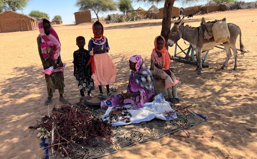 苏丹持续的危机引发的严重粮食不安全将在未来几个月升级。（图：联合国）