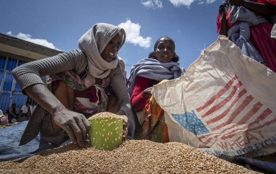 一名埃塞俄比亚妇女在蒂格拉镇救济学会分发的一部分小麦分配给等待领取粮食的家庭。（图：AP）