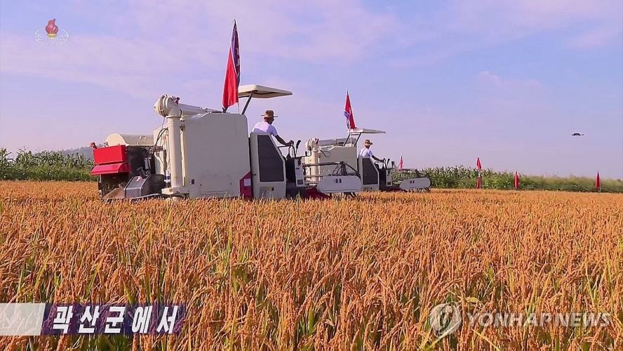 朝鲜平安北道郭山郡2日开启今年第一批水稻收割。（图：韩联社/朝鲜央视画面）