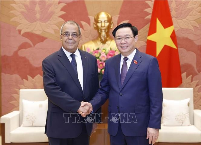 促进越南与阿尔及利亚经贸投资关系