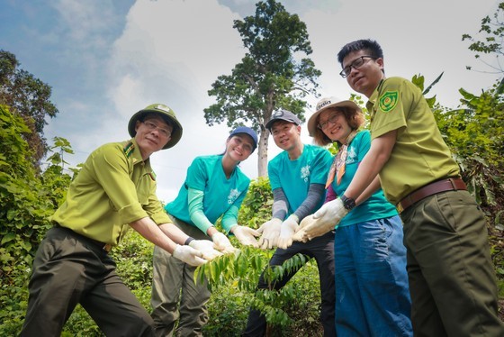 植树造林不仅保护环境，而且还为出口木材加工业创造原料区。（图：文福）